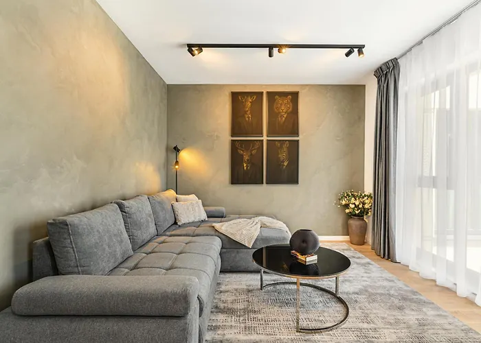 Koa - Signature Collection * Brasov