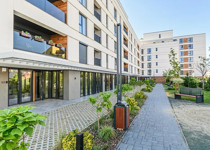 Koa - Signature Collection